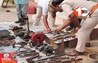 Bihar News