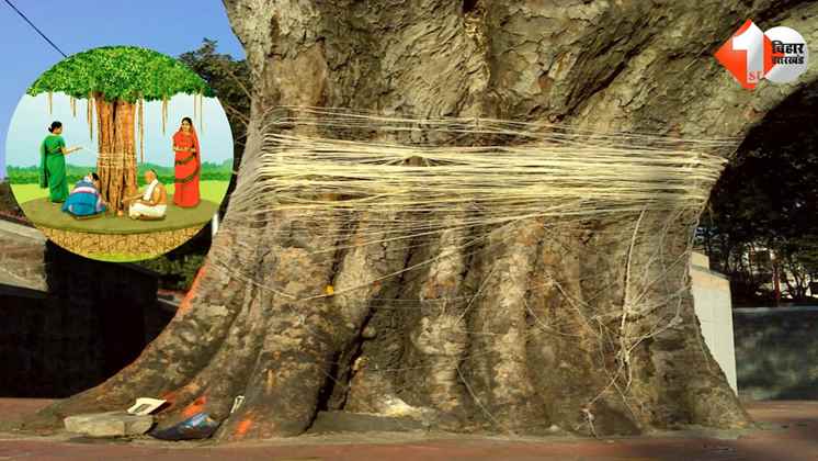 वट सावित्री व्रत 2025, वट वृक्ष पूजा, व्रत की कथा, वट सावित्री व्रत का महत्व, Vat Savitri Vrat 2025, Banyan Tree Puja, Vat Savitri Vrat Story, religious significance of Vat Vrat, Savitri Satyavan Stor