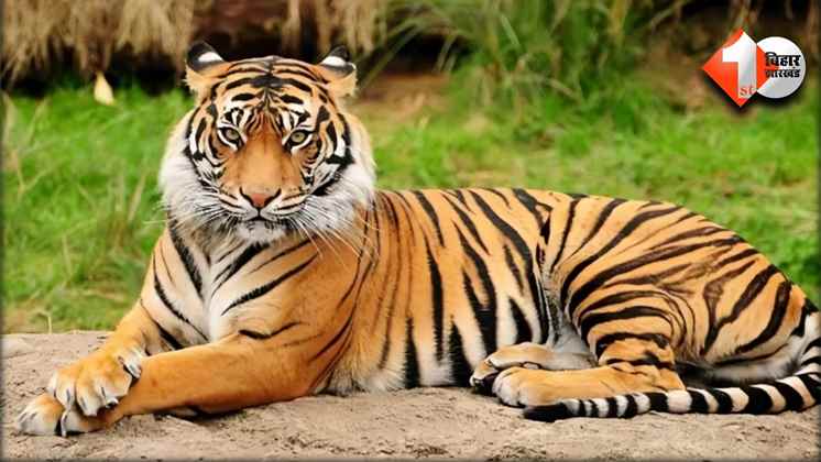 Bihar News