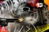 Bihar Crime News