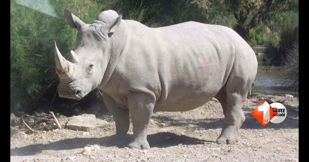 Patna Zoo