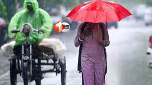 bihar news image