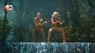 movies news image