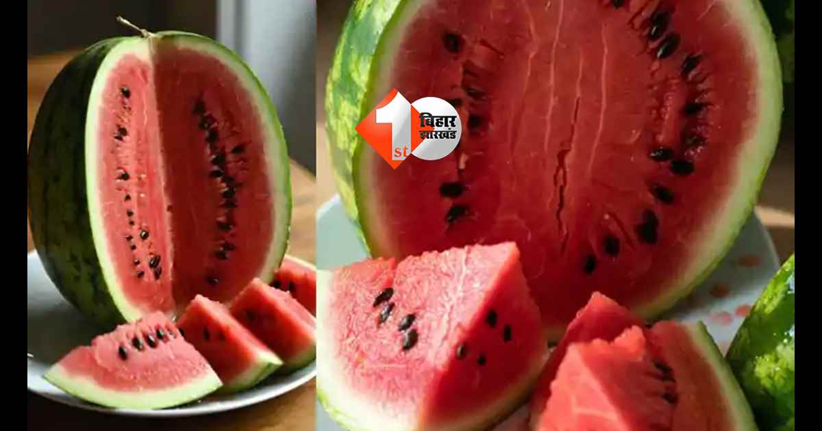 छत्तीसगढ न्यूज