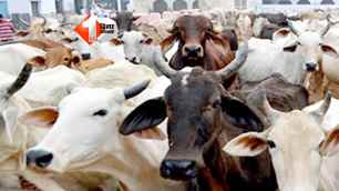 india news image