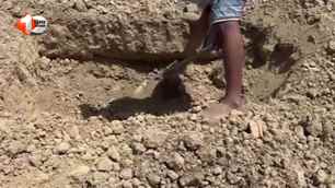 bihar news image