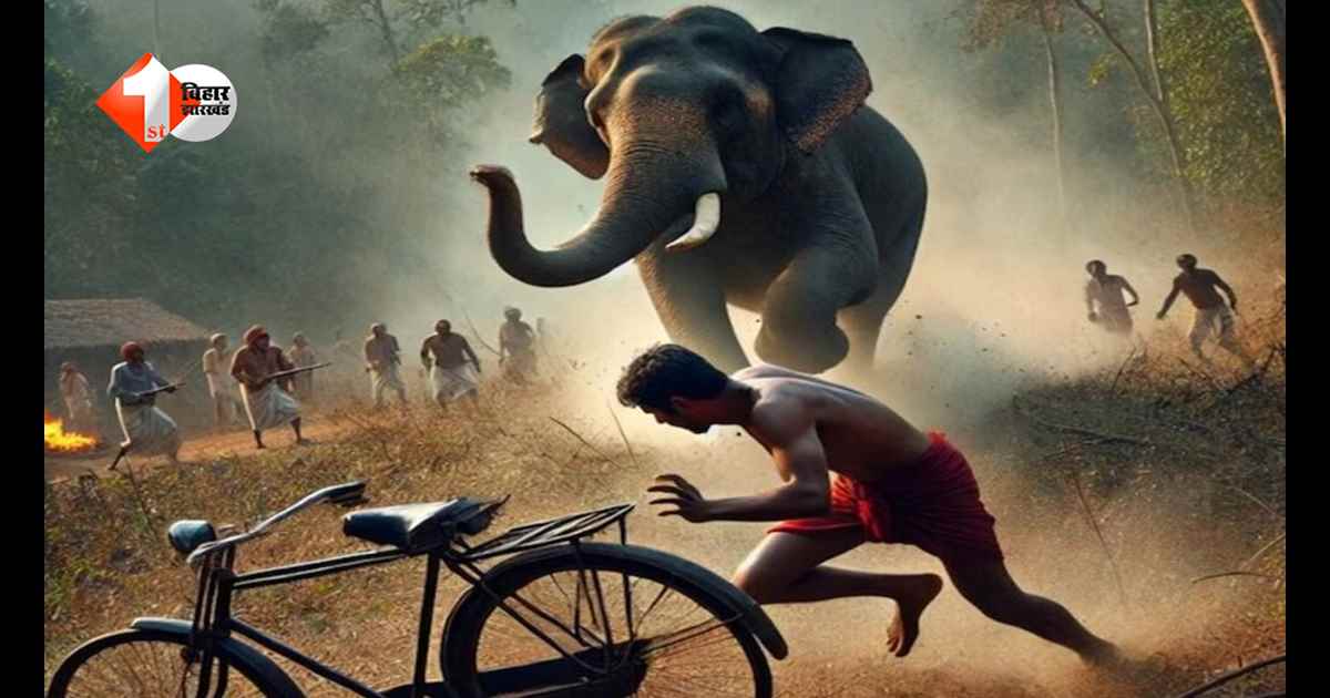 नवादा में हाथियों का ‘खूनी खेल’: रात के अंधेरे में हमला, बुजुर्ग को कुचलकर मार डाला; चार लोगों की मौत से दहशत
