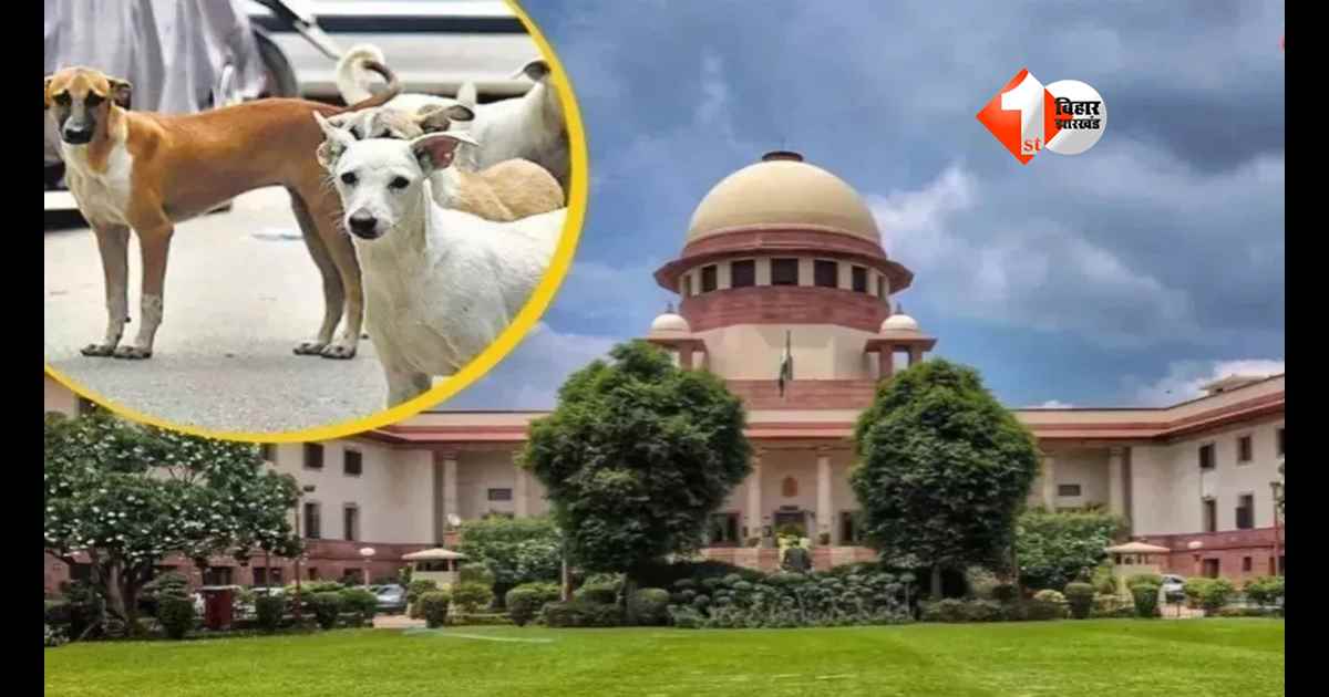 stray dogs news : अब स्कूल-कॉलेज और अस्पतालों में नहीं दिखेंगे आवारा कुत्ते! सुप्रीम कोर्ट ने दिया सख्त आदेश