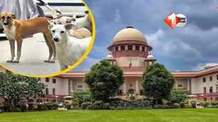 bihar news image