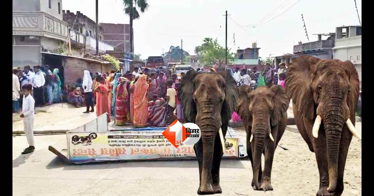Bihar Elephant Attack : बिहार के इस जिले में  हाथियों का आतंक: खेत में सो रहे बुजुर्ग को कुचलकर मार डाला, एक महीने में 5वीं मौत