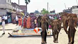 bihar news image