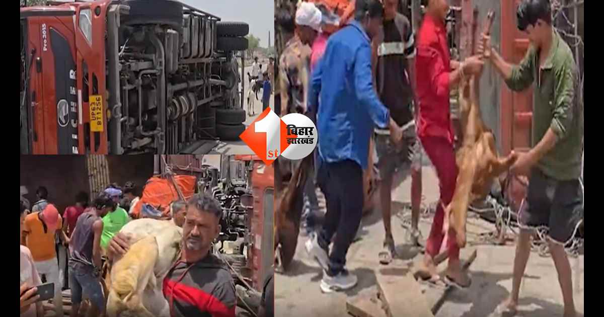 उत्तर प्रदेश न्यूज