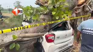 bihar news image