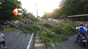 bihar news image