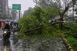 bihar news image
