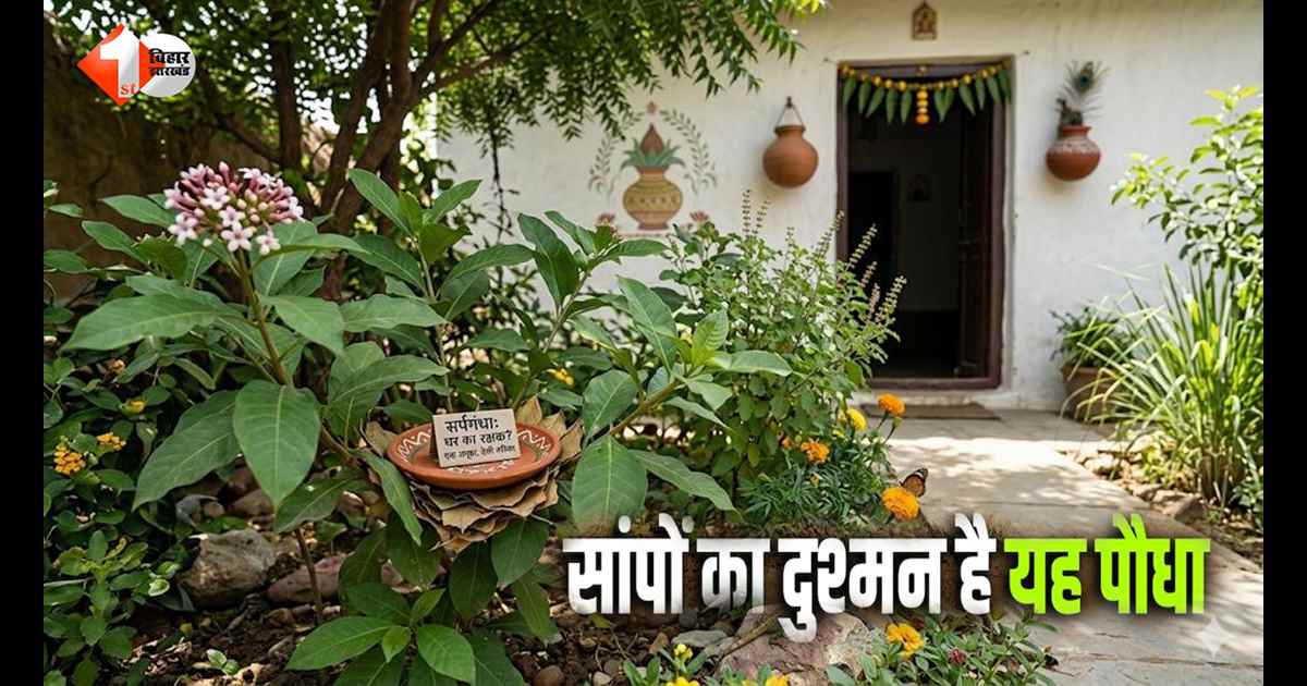 Plants to Repel Snakes: गर्मी में घर से दूर रहेंगे सांप! बस कर लें यह काम… इस दिशा में लगा दें यह जादुई पौधा