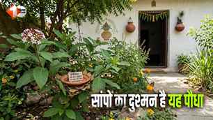 religion news image