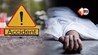Ara accident news : बिहार के इस जिले में सड़क हादसा, दो बाइक की टक्कर में 1 युवक की मौत, 3 गंभीर घायल; इलाके में मचा हड़कंप