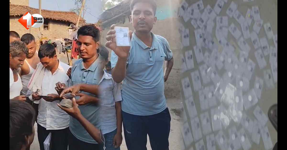 सीतामढ़ी में पोखर से मिले सैकड़ों वोटर आईडी कार्ड, बच्चों ने ताश समझकर उठाया, जांच में जुटा प्रशासन