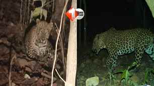 bihar news image