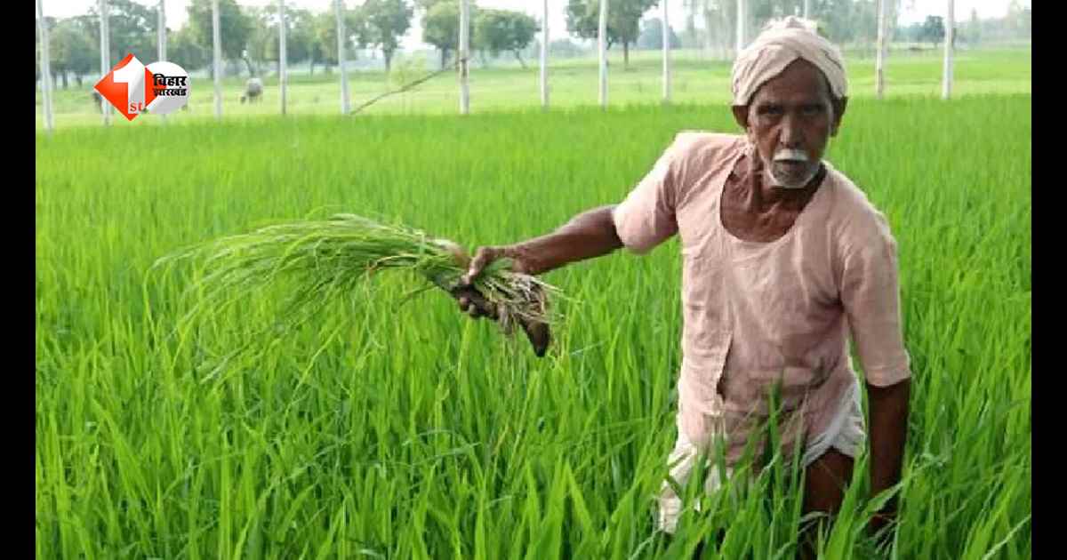 PM Kisan की 23वीं किस्त का इंतजार खत्म! इस महीने किसानों के खाते में आ सकते हैं 2,000, e-KYC नहीं कराया तो अटक सकता है पैसा
