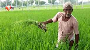 india news image