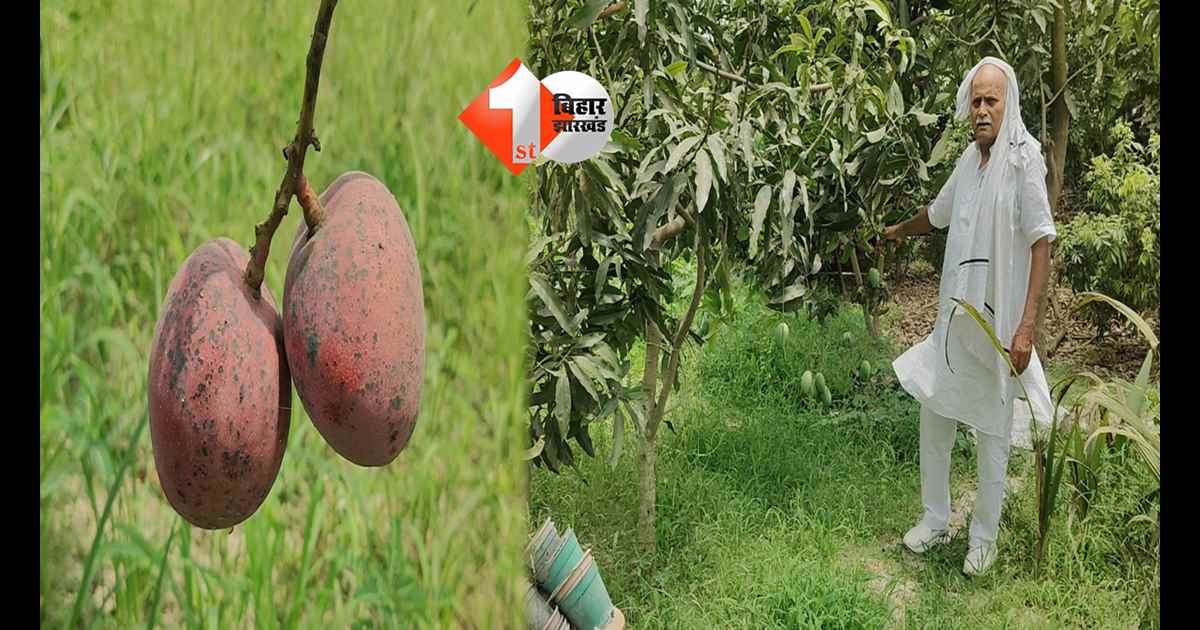 बिहार न्यूज
