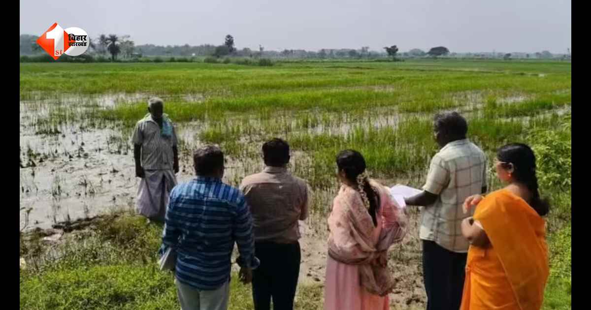 बिहार में जमीन सर्वे को लेकर सरकार का बड़ा फैसला: बंटवारा नहीं होने पर भी जारी रहेगा सर्वे, जानें नियम और शर्तें