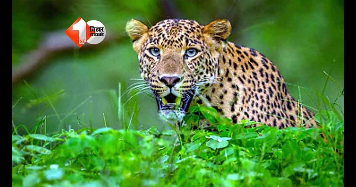 Bihar News