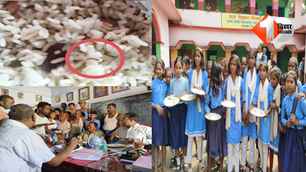 bihar news image