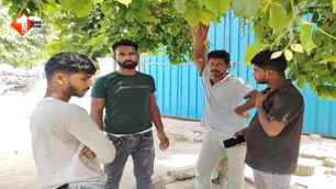 bihar news image