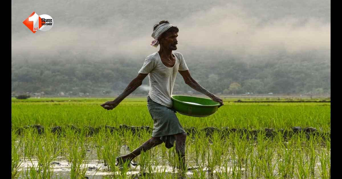 खरीफ फसलों पर सरकार मेहरबान! MSP में बढ़ोतरी को केंद्र की मंजूरी, जानिए किन फसलों के बढ़े दाम