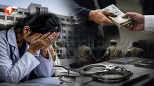career news image