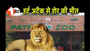 catagory