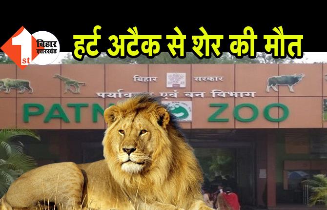 पटना जू में हार्ट अटैक से शेर की मौत, कोरोना जांच के लिए भेजा गया सैंपल