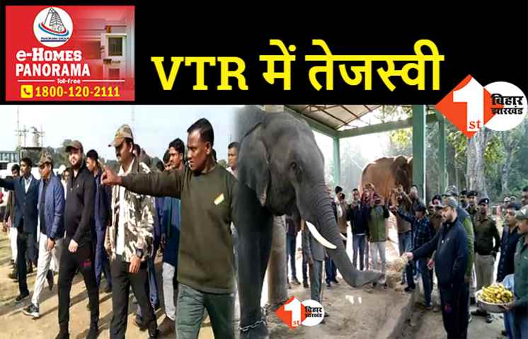 वाल्मीकिनगर में पर्यटन स्थलों का तेजस्वी ने लिया जाएजा, जंगल सफारी का उठाया लुत्फ