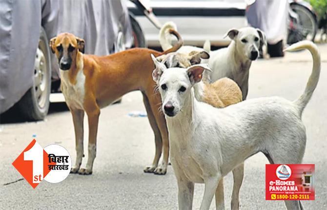 बिहार : पागल कुत्तो का आतंक, एक ही दिन में दो दर्जन लोगों को काटकर किया जख्मी