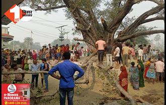 बिहार: स्कूल में प्रार्थना के दौरान गिरी पेड़ की डाल, शिक्षिका समेत कई बच्चे घायल; मौके पर मची अफरा-तफरी