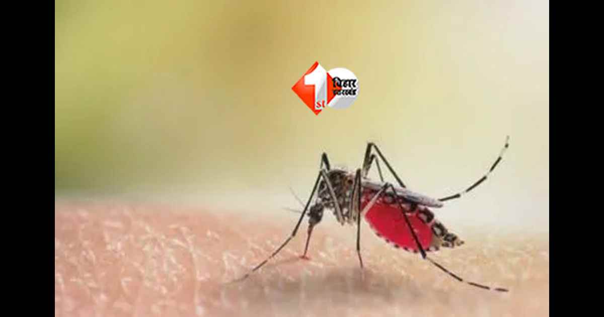 Bihar Dengue Cases