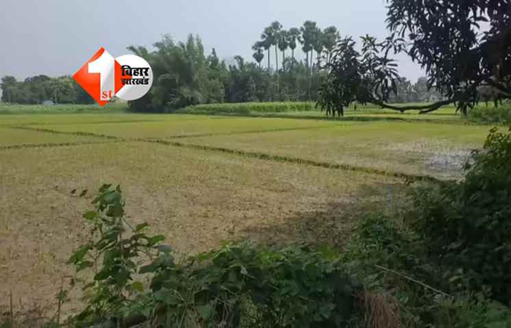 Bihar Farmer News : किसानों के लिए सरकार का बड़ा फैसला, अब इस नुकसान के लिए मिलने जा रहा  मुआवजा; आपको भी लेना है लाभ तो करना होगा यह छोटा सा काम 