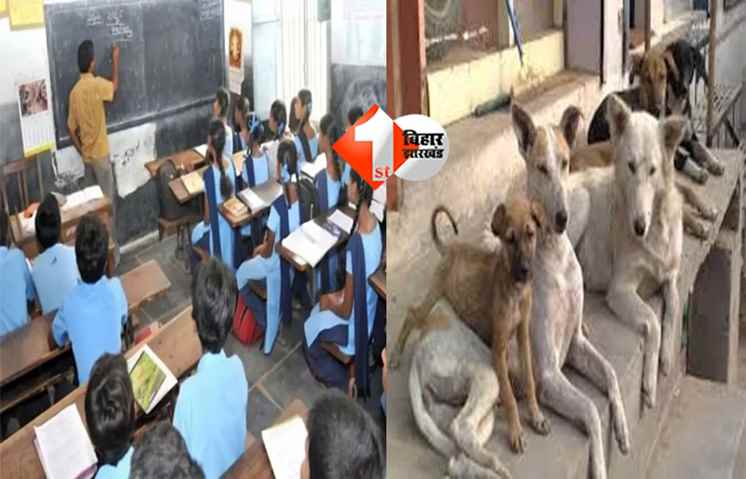 Bihar Education Department : बिहार शिक्षा विभाग का नया आदेश: स्कूल-कॉलेज में कुत्तों की एंट्री पर रोक, प्रधानाध्यापक-बीईओ-डीईओ होंगे जिम्मेदार