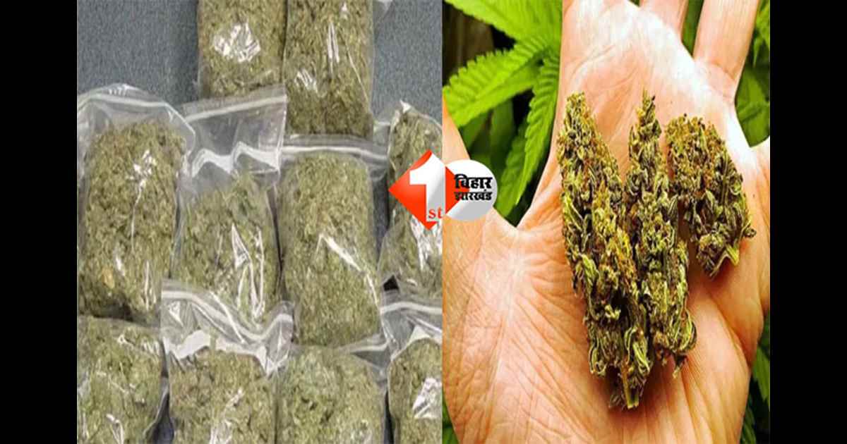 Begusarai drug smuggling : बेगूसराय में लाखों का गांजा के साथ महिला समेत तीन तस्कर गिरफ्तार, पुलिस ने बस स्टैंड से दबोचा