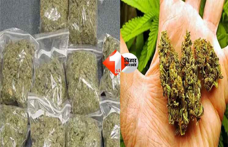 Begusarai drug smuggling : बेगूसराय में लाखों का गांजा के साथ महिला समेत तीन तस्कर गिरफ्तार, पुलिस ने बस स्टैंड से दबोचा
