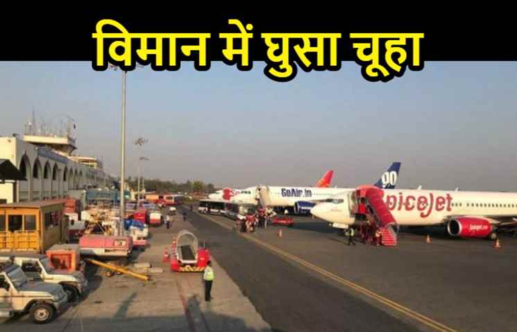पटना एयरपोर्ट पर विमान में घुसा चूहा, एक घंटे तक मची रही अफरातफरी