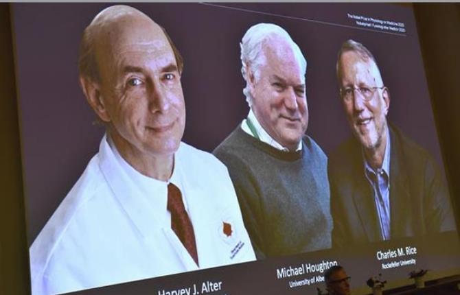 कोरोना काल में  हिपेटाइटिस सी वायरस की खोज करने वाले तीन वैज्ञानिकों को मिला नोबल पुरस्कार