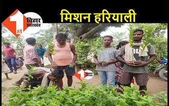 मिशन हरियाली के तहत शिक्षकों ने किया पौधारोपण, ग्रामीणों के बीच बांटे फलदार पौधे  