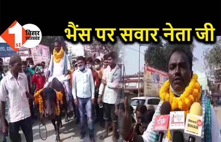 भैंस पर चढ़कर नामांकन करने पहुंचे नेता जी, बोले- गाड़ी-घोड़ा नहीं है तो क्या करें