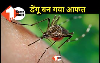 पटना के अब हर मोहल्ले में डेंगू के मरीज, त्योहारी मौसम में आप भी बचकर रहें
