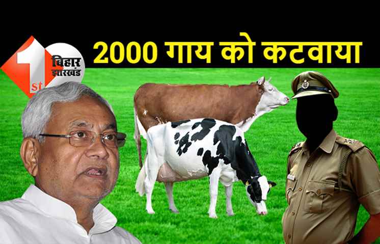 बिहार पुलिस की पाप लीला: थानेदार ने 2000 गाय को कटवाया, शिकायत सुनते ही सीएम नीतीश के उड़े होश, जांच का आदेश