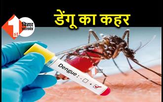 पटना में अब डेंगू का प्रकोप बढ़ा, एक दिन में 7 मरीज मिलने से हड़कंप 